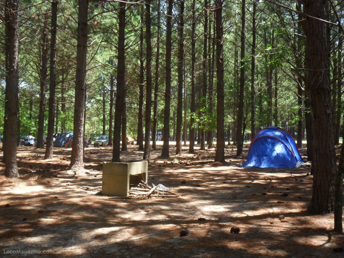 Sector arbolado del Camping Ñandubaysal en Gualeguaychú